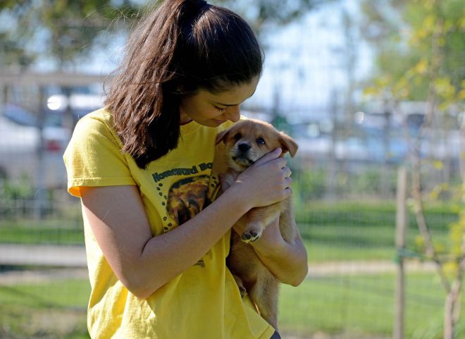 Puppy_Volunteer_DSC_7430