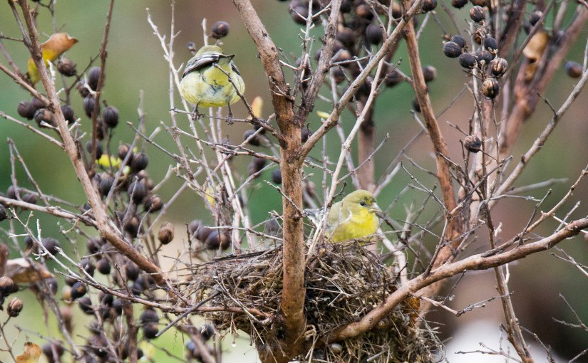 In today walks&nbsp;tomorrow