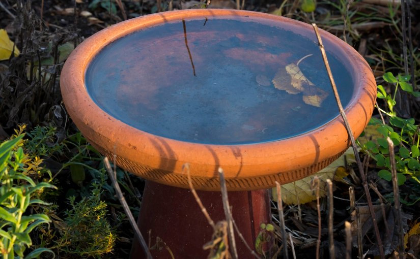 Good News In&nbsp;Buckets