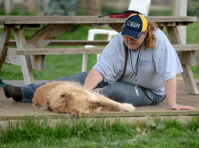 Chris_Goldie_DSC_0835S