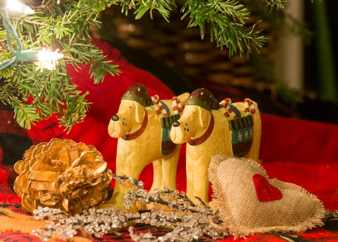 Christmas_Dogs_DSC_0472