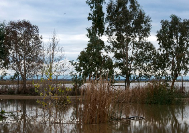 December_Flood_DSC_0424