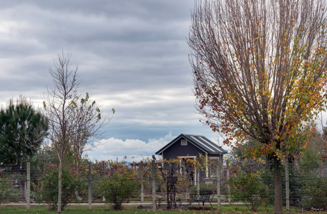 December_Grey Skies_DSC_0426