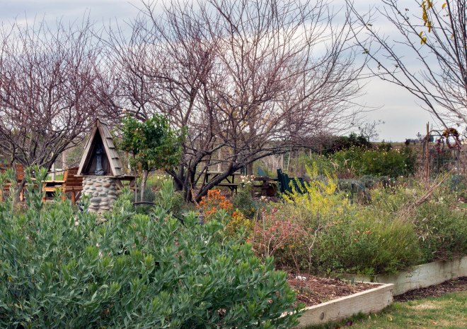 Garden_December_DSC_0435