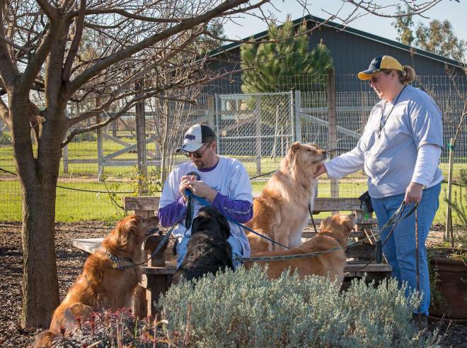 Goldie-Going-Home_DSC_1197