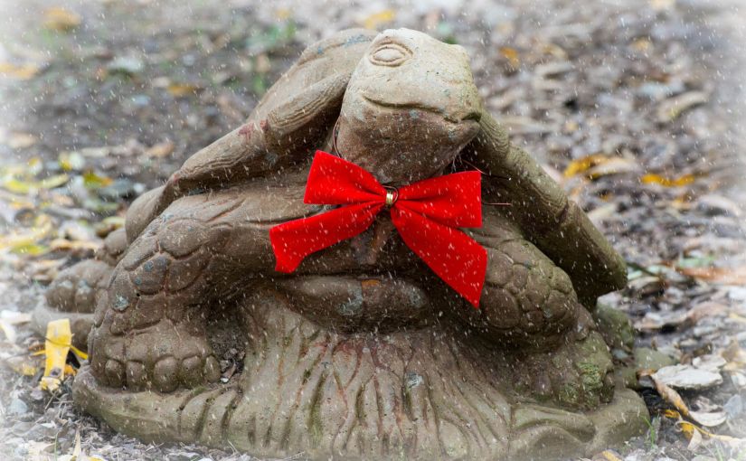 Wordless Wednesday: Merry