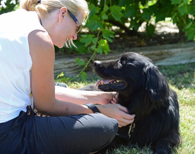 Balou_LisaB_DSC_7461