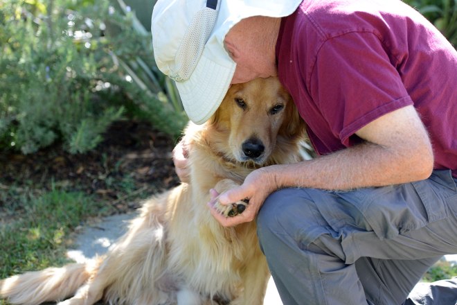 Dog_Whisperer_DSC_5321