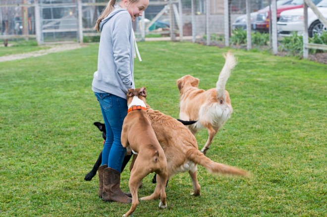 Illegal Substitution