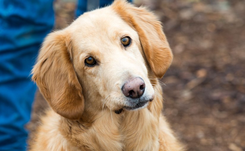 Wordless Wednesday: Marshall&nbsp;Tucker