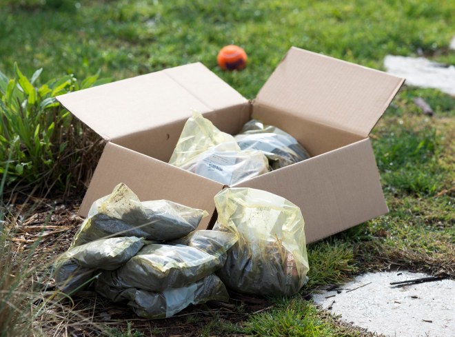 Bulb Donation_DSC_5793