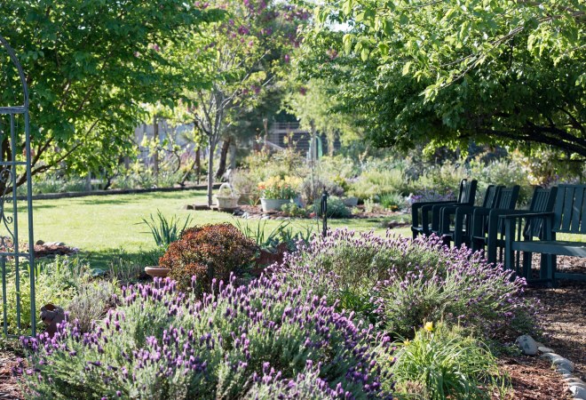 Garden_Spring_750_5062