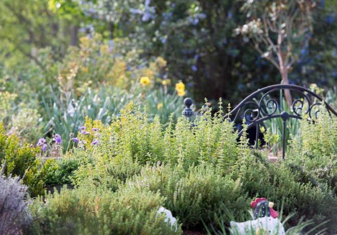 Garden_Spring_DSC_7070