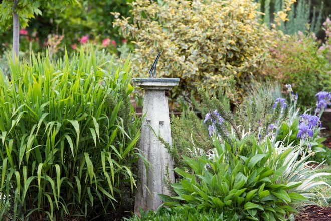 Garden_Drift_DSC_8387