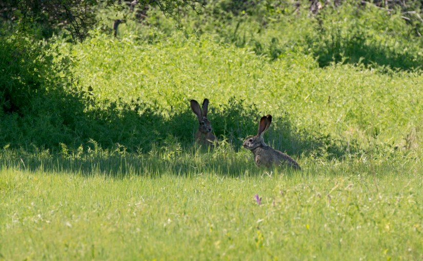 Wherever Faith Finds&nbsp;Us