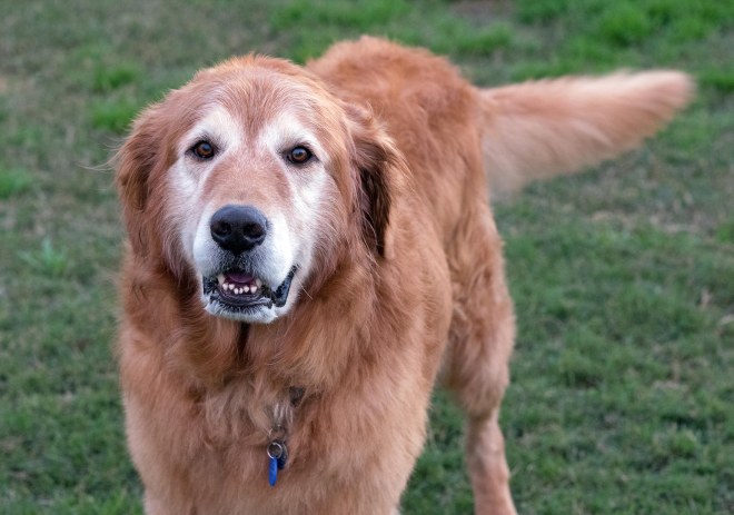 _reacher_DSC_1780-X3 (1)