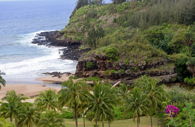 Botanical Garden_750_6522