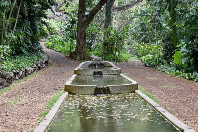 Botanical Garden_750_6585