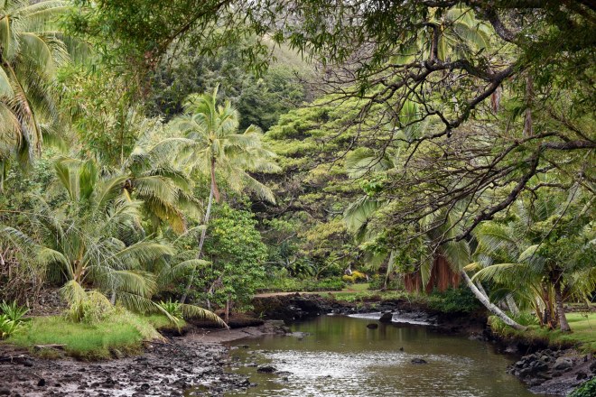 Botanical Garden_750_6631