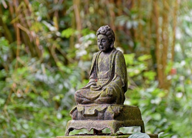 Botanical Garden_750_6637