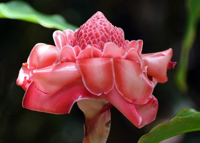 Botanical Garden_750_6710