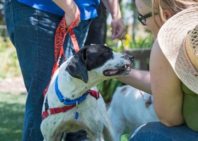 Junior Going Home_DSC_9040