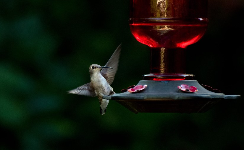 Wordless Wednesday: Last&nbsp;Call