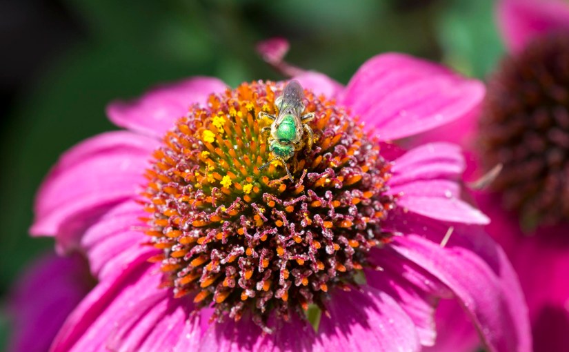 Wordless Wednesday: It’s A Small&nbsp;World
