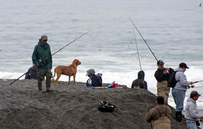 Fishing Dog_DSC_1239