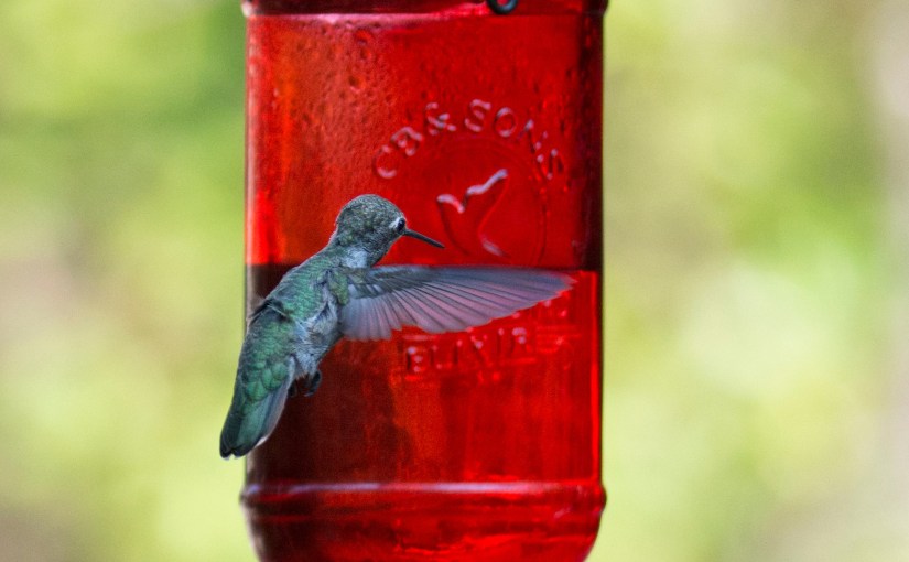 Wordless Wednesday: Mirror&nbsp;Mirror