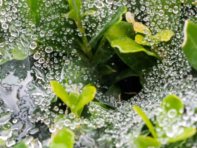 Crystal-Spider-Palace_DSC_6039