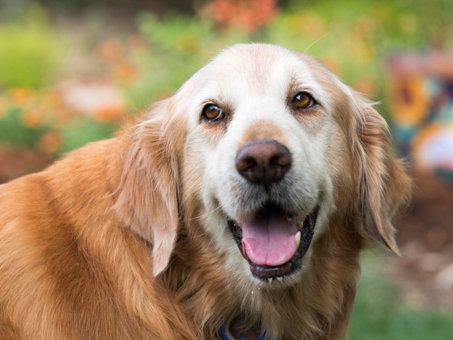 Bear_Seizures_DSC_7113