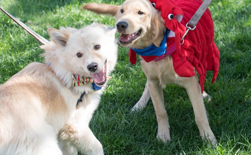 Wordless Wednesday: Red&nbsp;Lobster