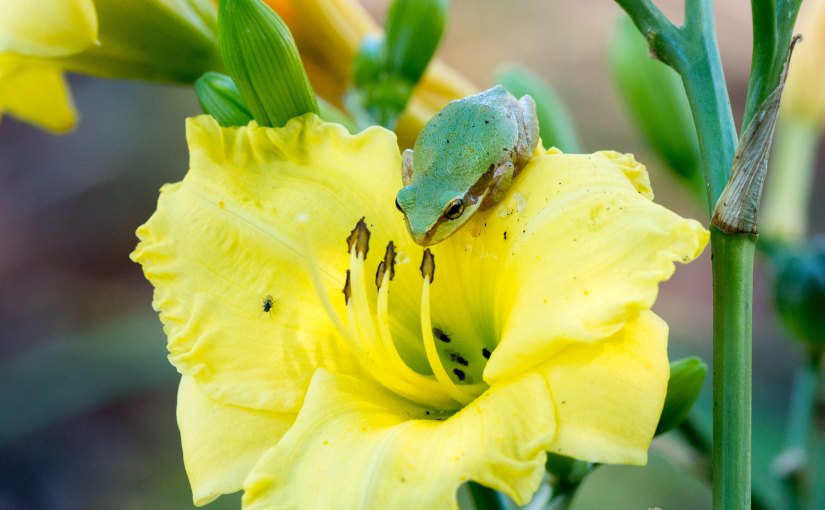 “Adopt the pace of&nbsp;nature: