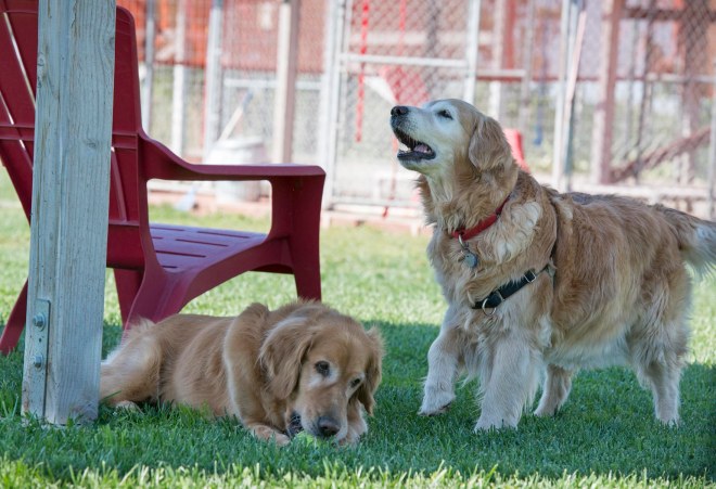 Gwen_Dharma_DSC_6515