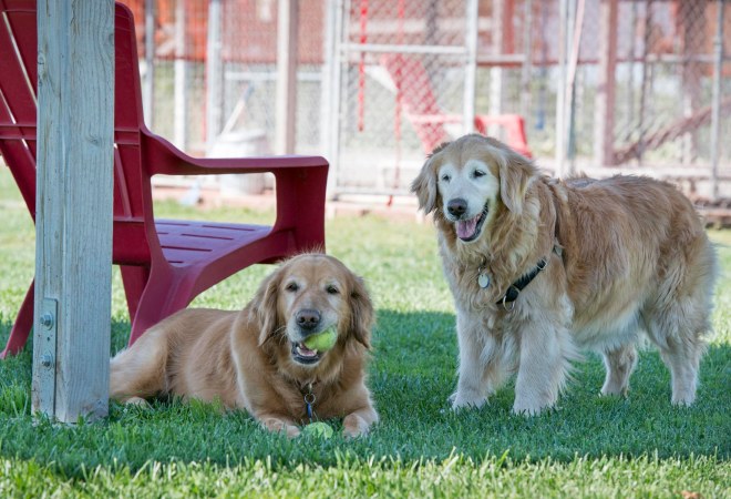 Gwen_Dharma_DSC_6517