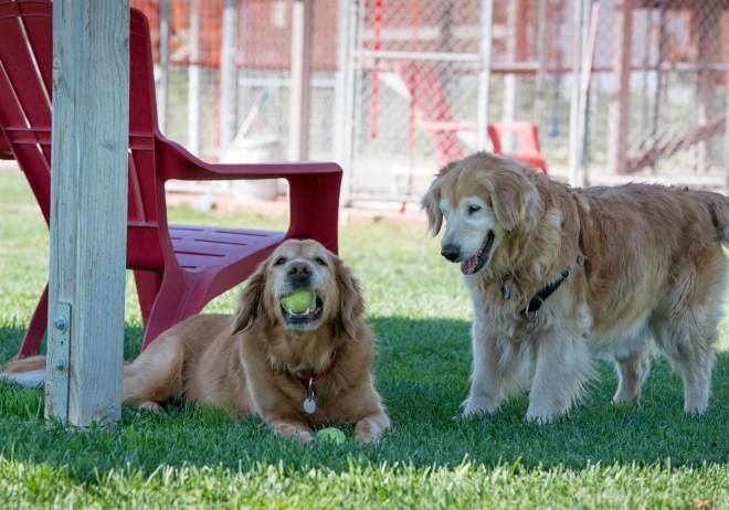 Gwen_Dharma_DSC_6518