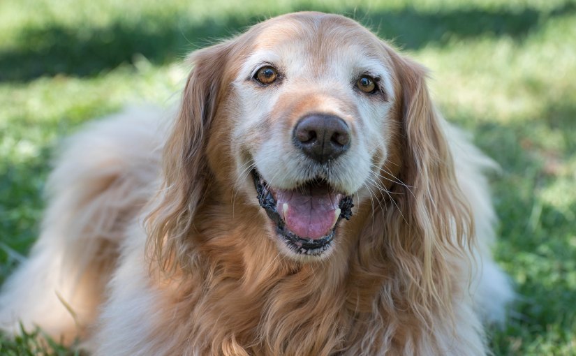 Wordless Wednesday: Maddy