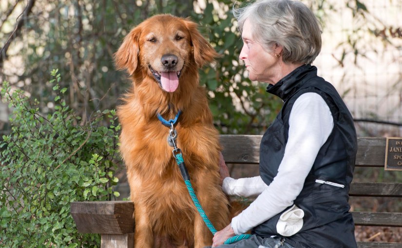 As Long As There Are&nbsp;Dogs