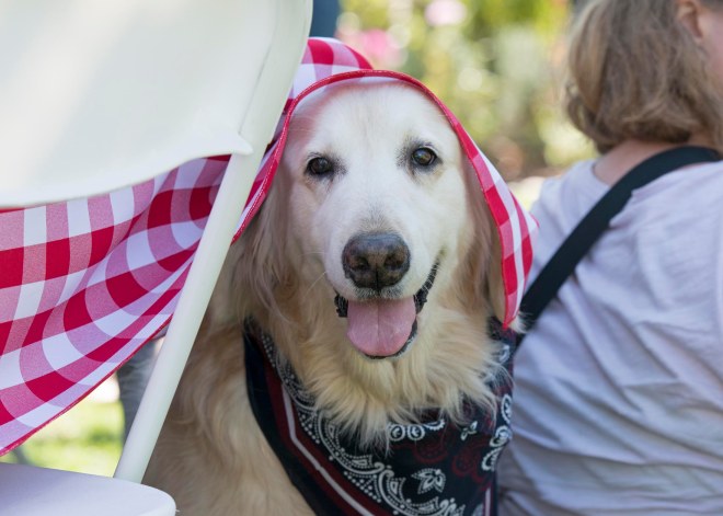 Snowy_Picnic_DSC_6683