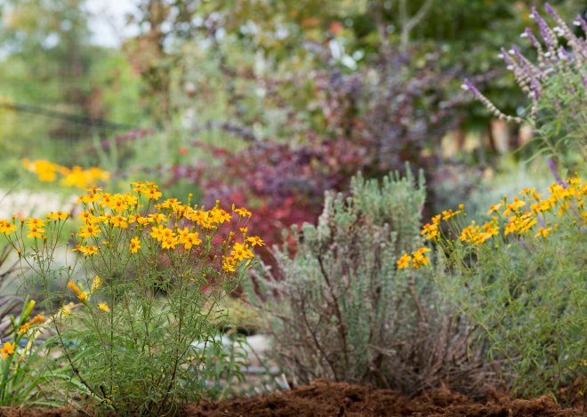 Garden_10_15_DSC_7767