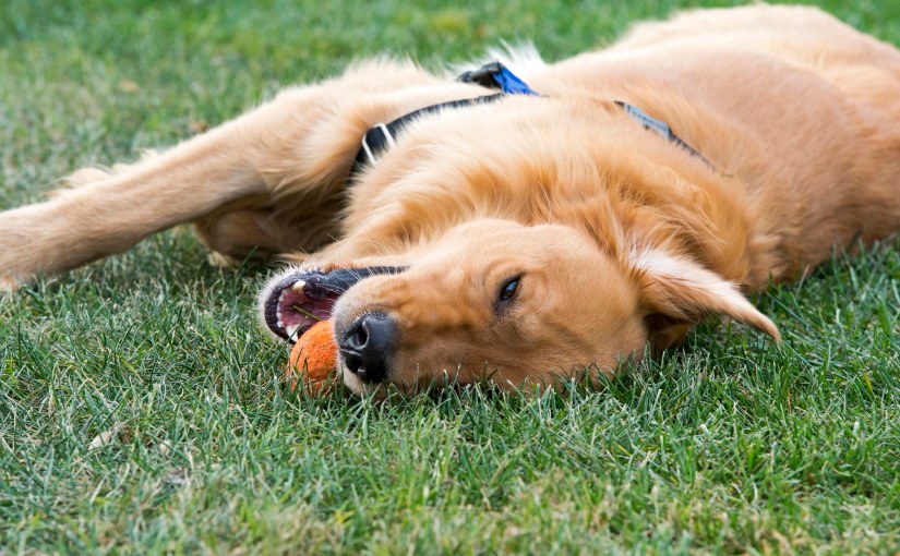 Can’t We All Just Get&nbsp;Along?