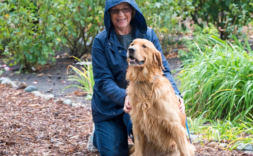 Peace and Results in the&nbsp;Garden