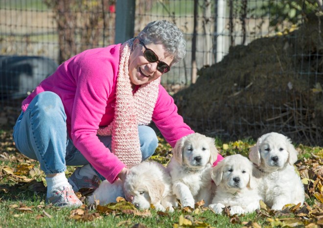 Puppies_Judy_DSC_9246