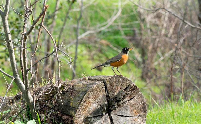 Giving Thanks for&nbsp;You