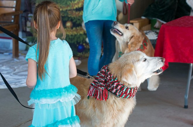 Santa Photos_DSC_8729