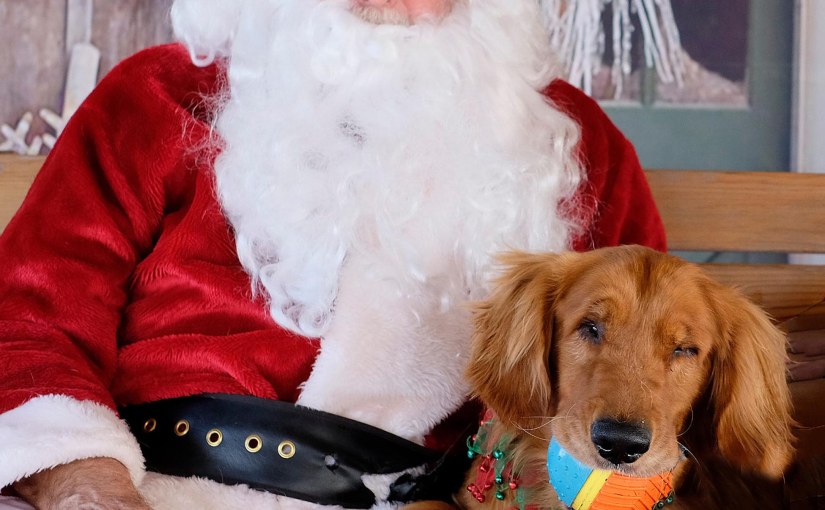 A Christmas Wish&nbsp;Delivered