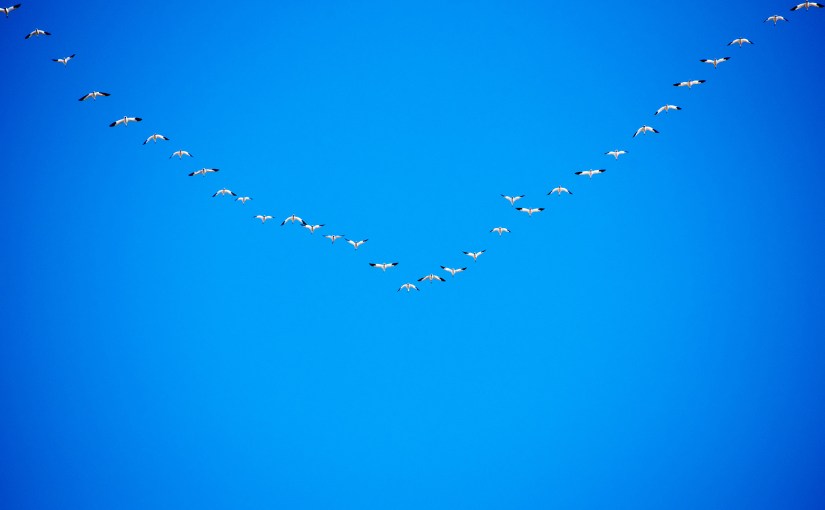 A Wish For The New&nbsp;Year