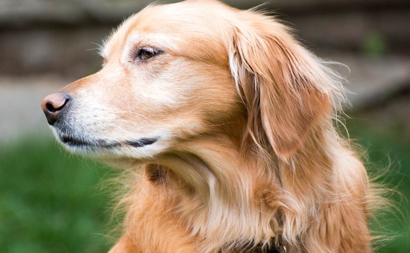 Wordless Wednesday: My&nbsp;Boy