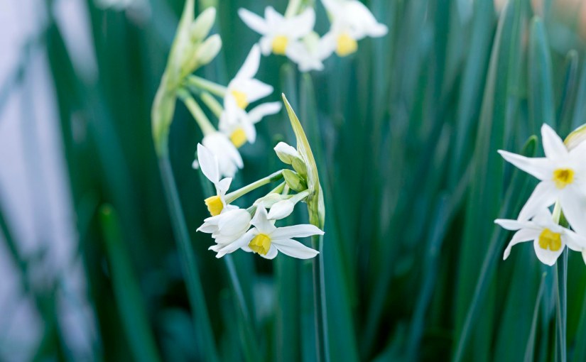 Wordless Wednesday: January?